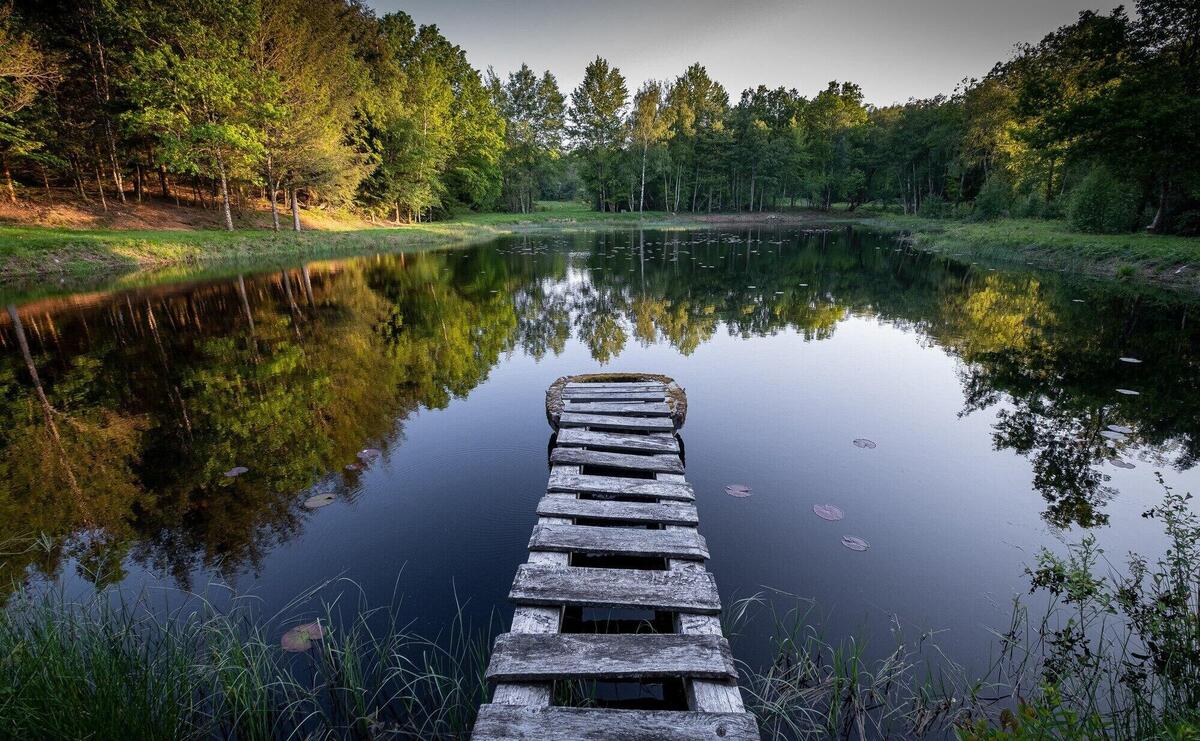 Beautiful view of trees in autumn colors reflecting in a lake with a wooden boardwalk