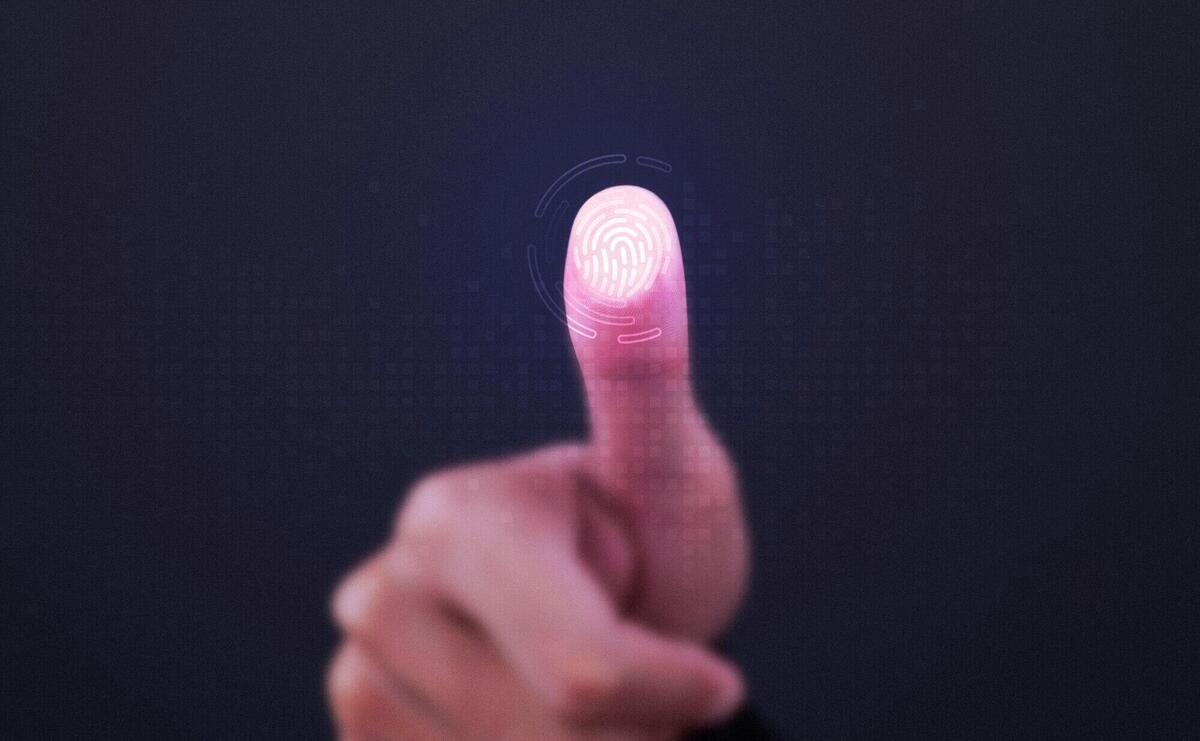 Fingerprint scanner on transparent screen